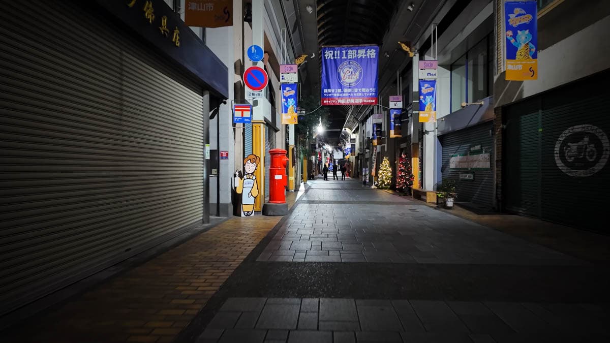 【津山駅 / 夜の散歩】(岡山県津山市)おそらく忘年会ぽい団体さんとすれ違う飲み屋街